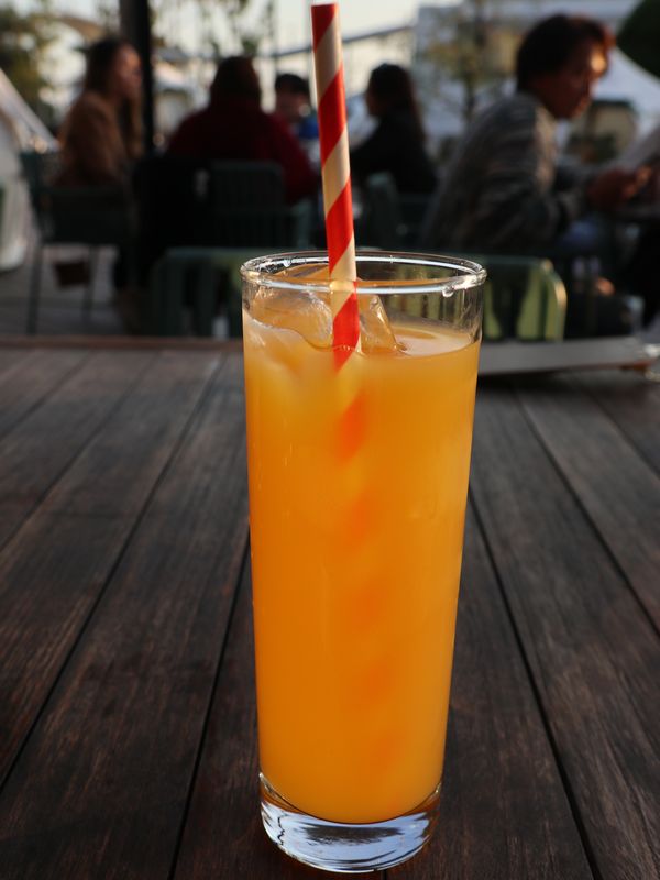 マリブファーム (21)