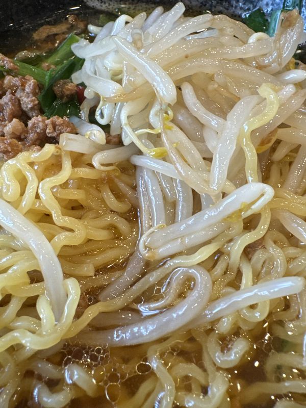 中華料理 北陸 (9)