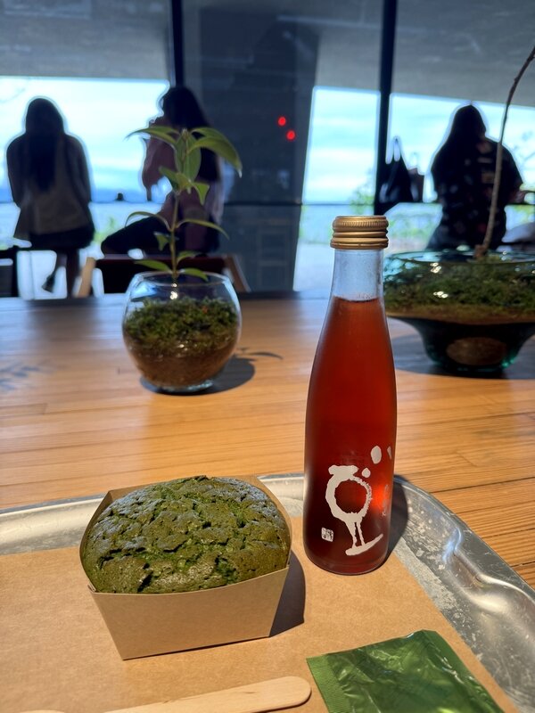 LAGO 大津 たねや (12)