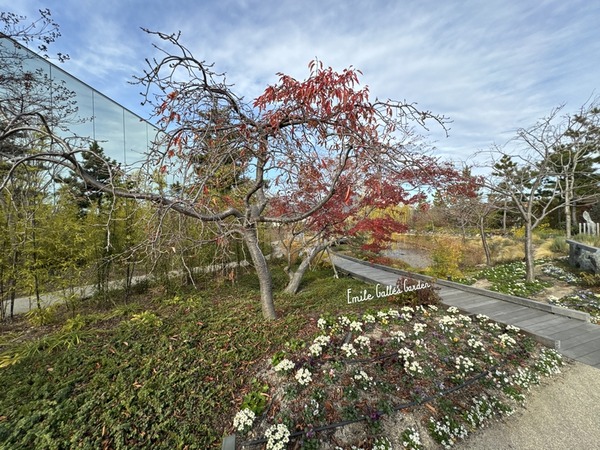 下瀬美術館 (52)