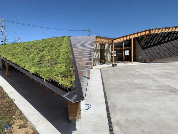 クタニズム (19)