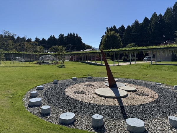 ホームメイドアップルパイmiy (7)