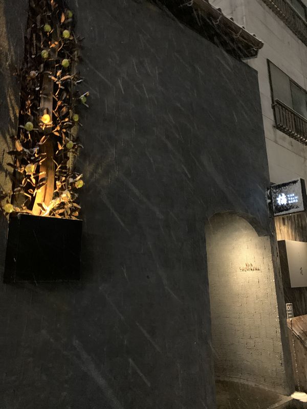 Bar 橘