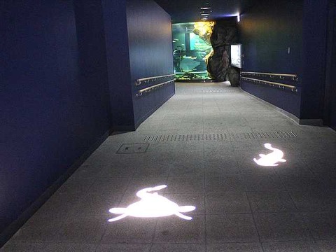 琵琶湖博物館 (32)