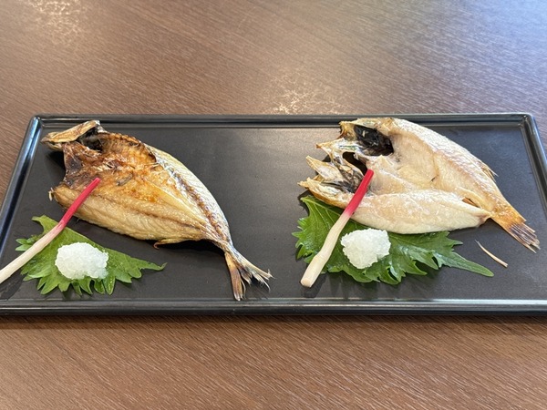 ＡＮＡクラウンプラザホテル米子 (20)