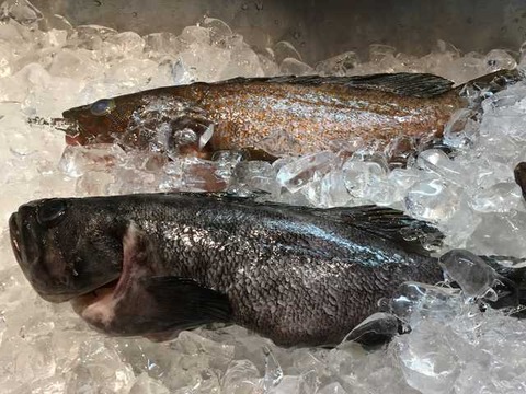 シンガポール シーフードリパブリック (25)