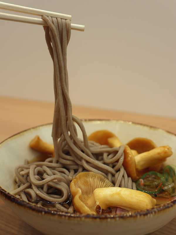 めぐみ白山 (10)