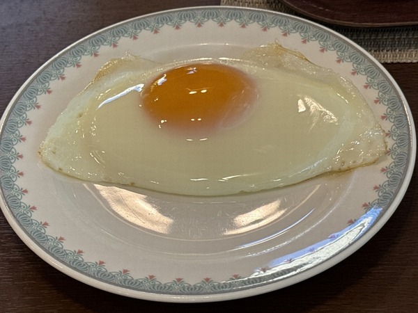 ＡＮＡクラウンプラザホテル米子 (16)