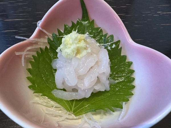 越乃海・山・技 魚山人 (14)