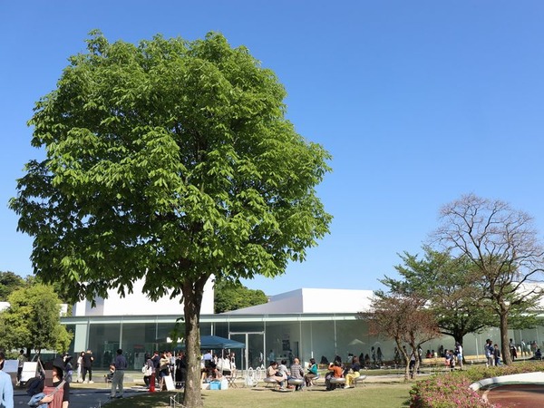 金沢21世紀美術館1