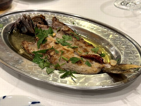 アンチョア (24)