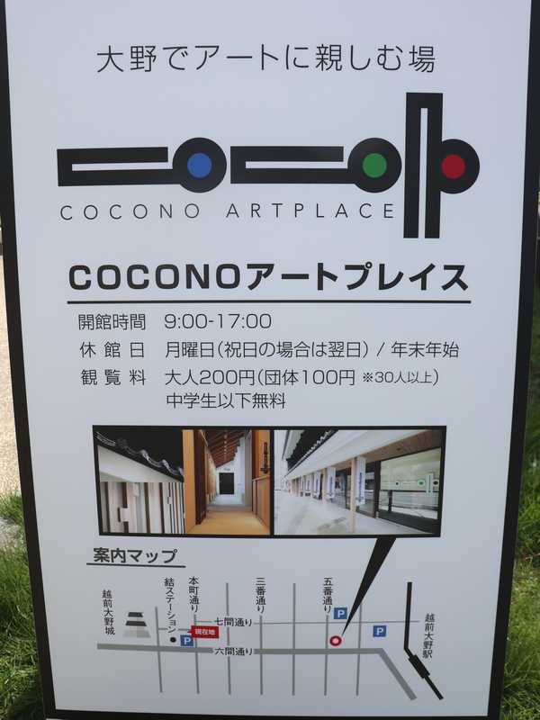 cocono (19)