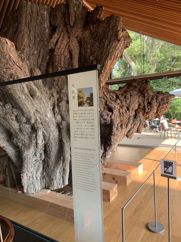 鎌倉文華館 鶴岡ミュージアム カフェ (2)