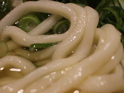 因幡うどん (14)