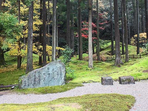 苔の里 (6)