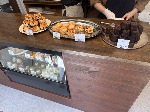 アリシエール (5)