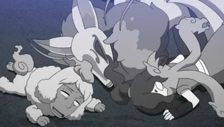 46