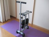 レッグマジックX
