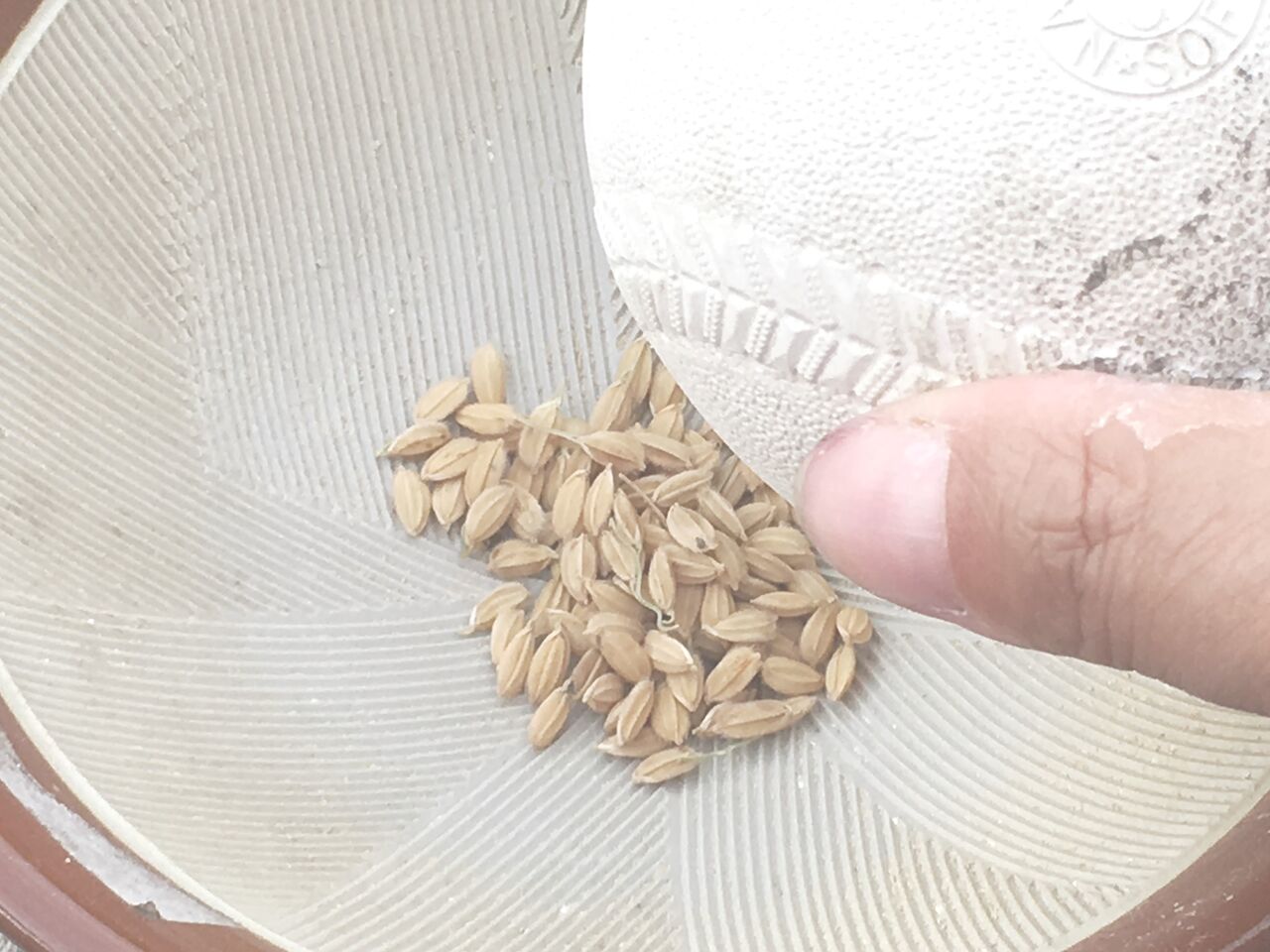 すか田んブログ : 籾(もみ)すり・精米