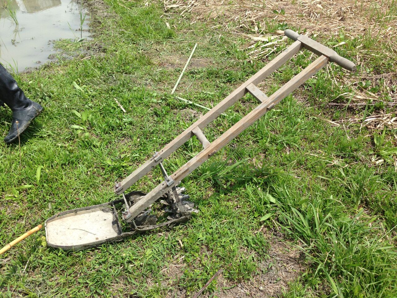 草取り すか田んブログ 草取り すか田んブログ
