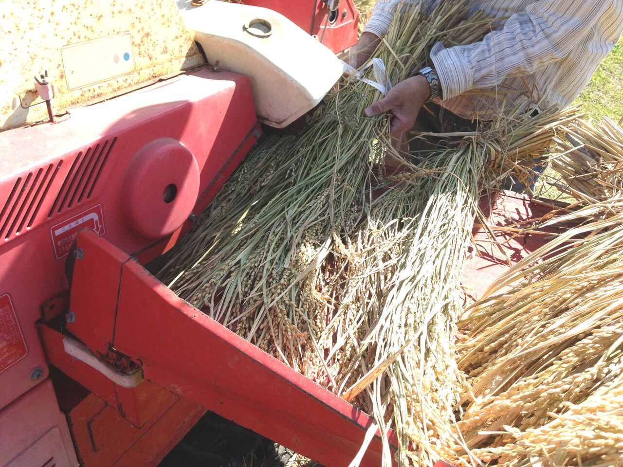 脱穀 だっこく すか田んブログ