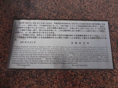 DSC00875