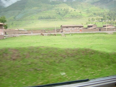 DSC00142