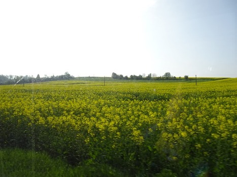 DSC00215