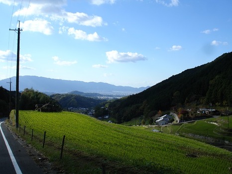 DSC01333