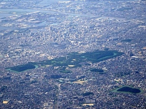 DSC00513