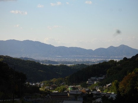 DSC01339