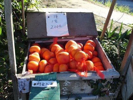 DSC01347