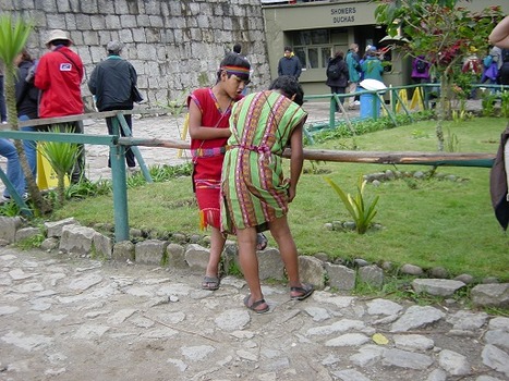 DSC00211