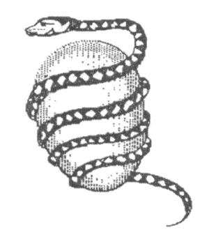 sna1