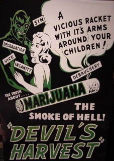 dvs