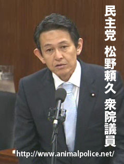 matsu
