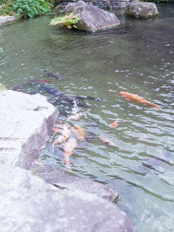 DSC07967_R