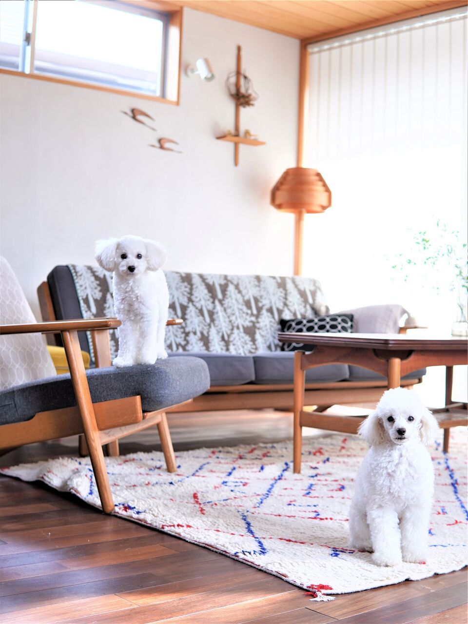 ミナペルホネン eメッツァ モミの木ブランケット 貴重 新品、未使用