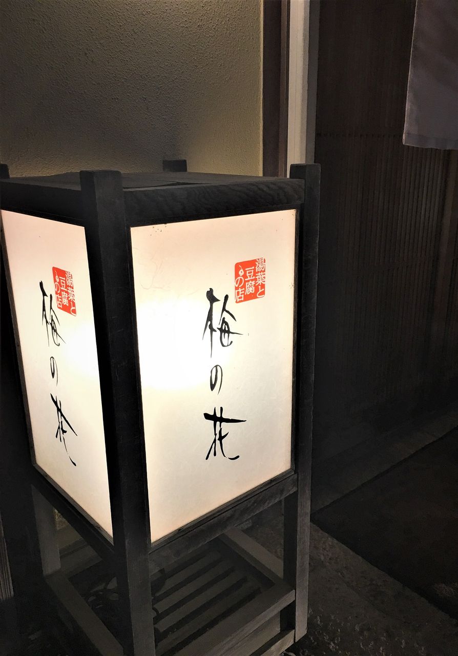 梅の花13