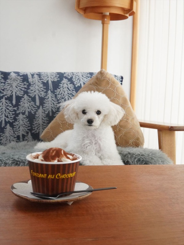 ミニストップ秋冬ベルギーチョコ！とろけるフォンダンショコラ登場～♪