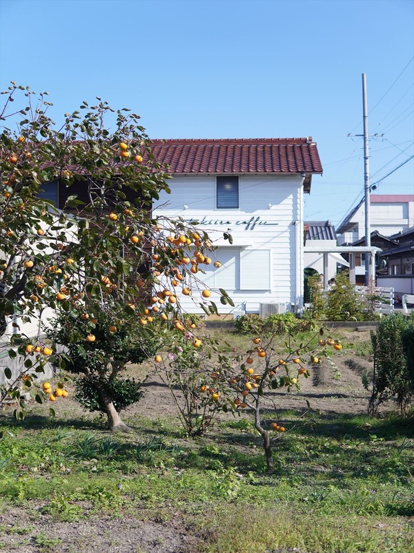 DSC07539_R