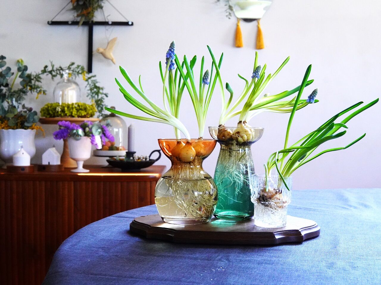 3coins 水耕栽培用ガラスベースが超高見え ムスカリ で楽しむ春インテリア 10年後も好きな家 家時間が好きになる 家事貯金 北欧インテリア Powered By ライブドアブログ