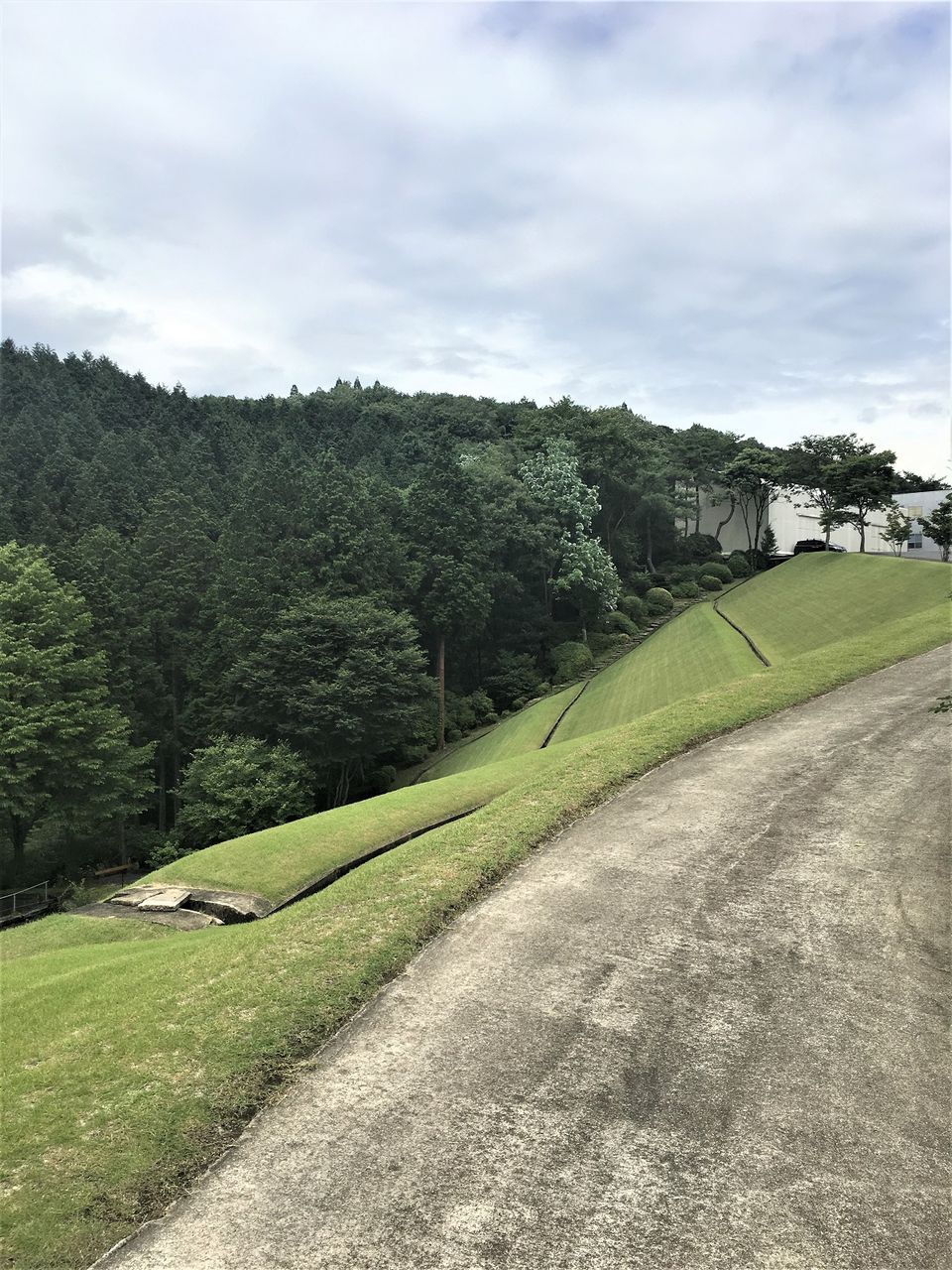 銀の森14