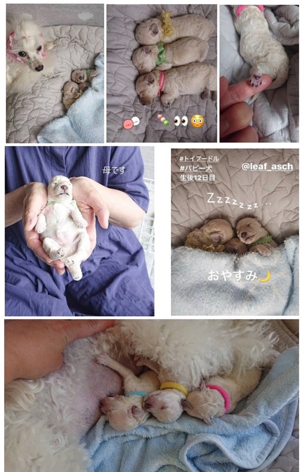 生後1週間
