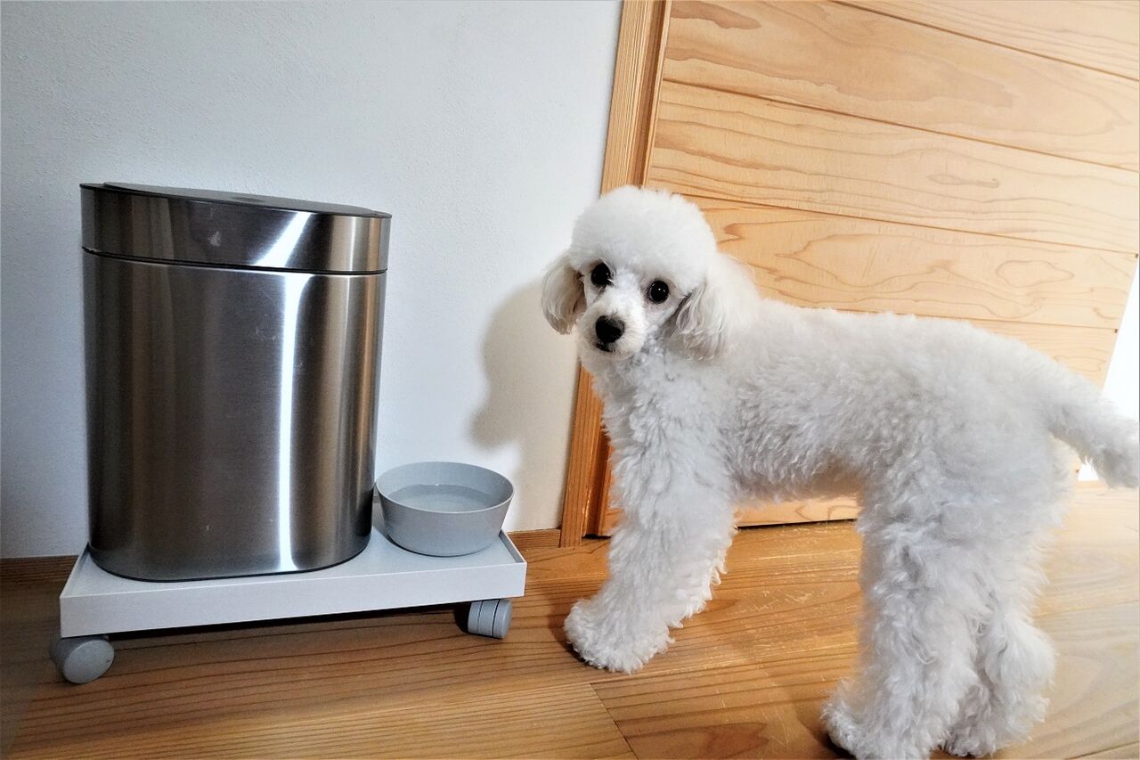 IKEA】ステンレスの高級感！タッチ式ゴミ箱「BROGRUND」♪ : 10年後も