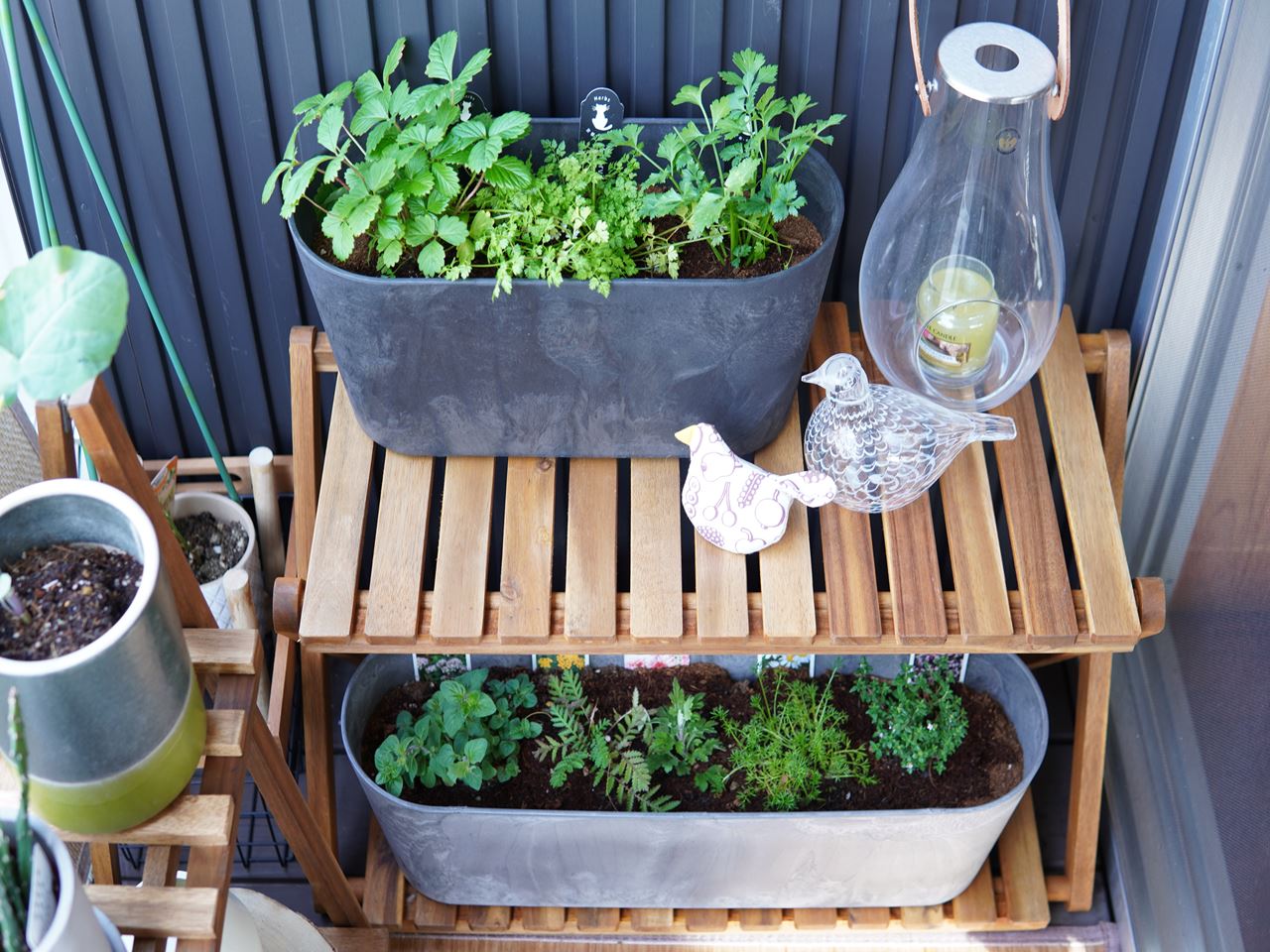 7年間ほぼ未使用のベランダを活用 ニトリグッズでハーブガーデニング 10年後も好きな家 家時間が好きになる 家事貯金 北欧インテリア Powered By ライブドアブログ
