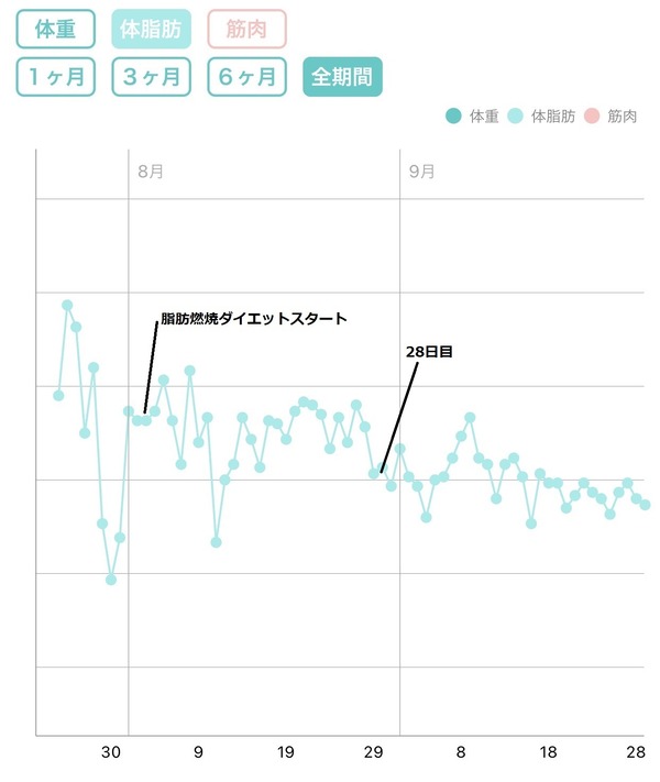 全期間体脂肪