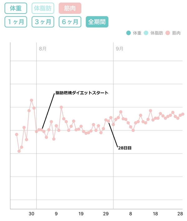 全期間筋肉