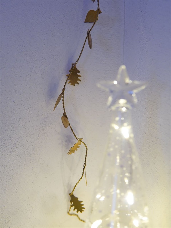 DSC00388_R