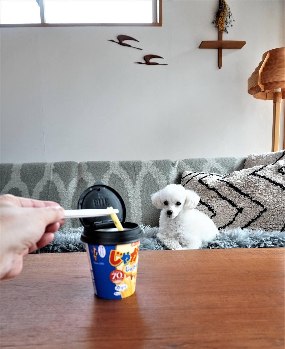 カップお菓子のフタ13